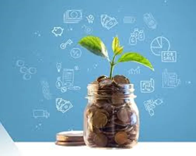 تفاوت ذخیره و اندوخته